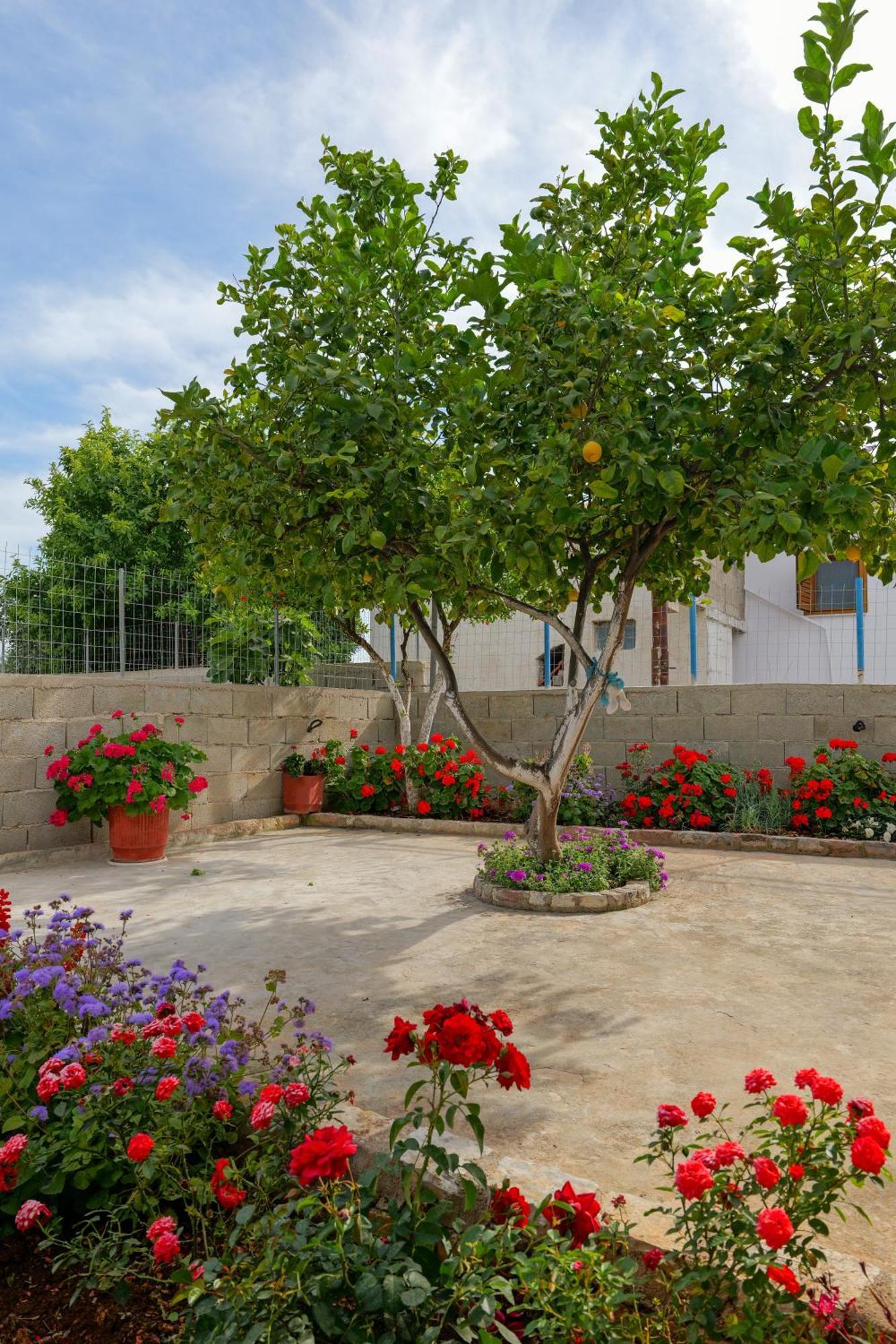 Brahimi Guest House Ksamil Zewnętrze zdjęcie
